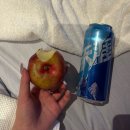 중국식 가정식 만들기 | [베이징 맛집 모음🇨🇳]_현지에서 찾은 베이징 맛집 추천/후기