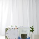 시월애봄날 이미지