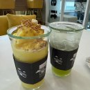 망고&체리 애견샵 이미지