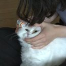 천동물병원 이미지