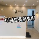 유명동물병원(출장전문) | 강아지 심장병 단계관리 서초 다니엘동물병원