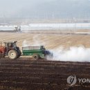 성관농장 연합뉴스