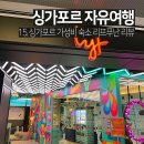 위워크아웃 | 싱가포르 숙소 리프푸난 가성비 호텔 위치 편의시설 벙커 리뷰