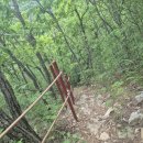 센트럴행정사사무소 | 완주 연석산, 진입로를 찾아 헤메다