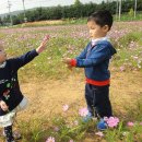 재은농장 이미지