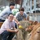 오성그린농장 이미지