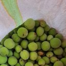 연세힘찬마디의원 이미지