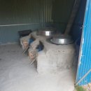 정길수농장 이미지