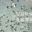 연화중학교 이미지