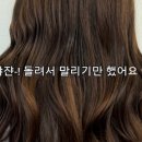 바비수앤 이미지