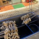 마산부림시장 이미지