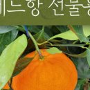 승환농장 이미지