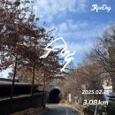 미스코다리 | 제천 포레스트리솜 2박3일 S30 꿀팁정리