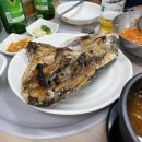 정치망오창
