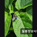 필봉정낚시터 이미지