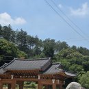 국내여행지 추천! 7월 충남여행 코스, 공주가볼만한곳 1순위 마곡사 싱그러운 여름 풍경후기