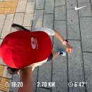 이번엔 그래도 괜찮지 않나요? | 27년 5~6월 리뷰