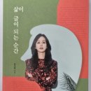 청사로48번길 | [충남 홍성] 동네 서점 방문기, 내포 중앙서점