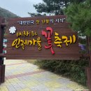 인제06-2 | 2025 인제 가을꽃축제 인제에서 꽃길만 걷자 주소...웨이팅 입장료 반려동물 숲 카페 꽃종류 소요시간 후기