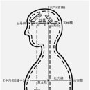 용호비결의 단전이 인체의 표피에 있는 이유 이미지