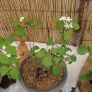 동의중학교 이미지