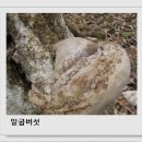 루카겐