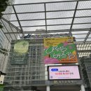 가족극 <오늘도 바람> | 오늘도 바람 공연 관람 후기 - 꼭 봐야 하는 이유