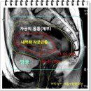 중앙수예 이미지