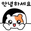 7번가 피자 반야월점 이미지