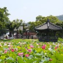 민정식 티스토리