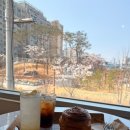석남체육공원 | 카페319베이커리빙수 | 루프탑이 있는 인천서구디저트카페 방문 후기