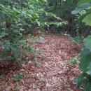 뚝넘어근린공원 이미지