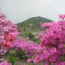 백양산 애진봉 이미지