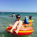 해림대게 이미지