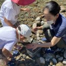 화개초병설유치원 이미지