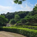 안태울캠핑장 이미지