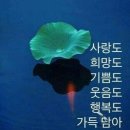 청향 이미지