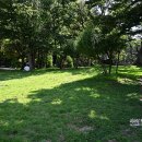 선소체육공원 이미지