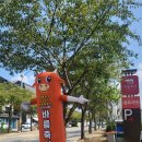 올바름 정육식당 이미지
