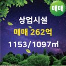 중앙부동산공인중개사사무소 이미지