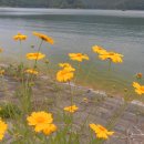 산서농협 앞 이미지