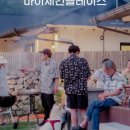 웨이비파트너스