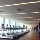 라이언 휘트니스 이미지