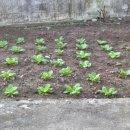 씨유 송산점 | 17일 ~ 20일 일상 기록 : 시골 마지막날 귀성길, 휴대폰 바뀐 날, 영화 베테랑2 후기, 부천자유시장, 야근