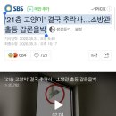 '21층 고양이' 결국 추락사…소방관 출동 갑론을박 이미지