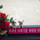한울여행사 이미지