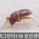 버그헌터119용인센터
