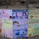 금오산 유아숲체험원 이미지