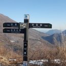 학운초교 이미지