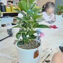 회야초등학교 이미지